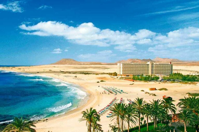 riu-oliva.jpg