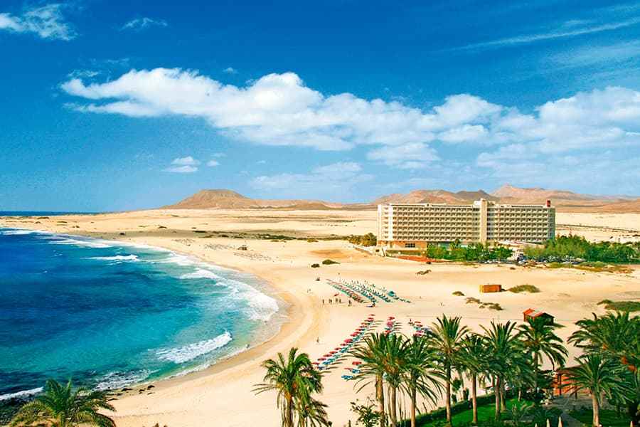 riu-oliva.jpg